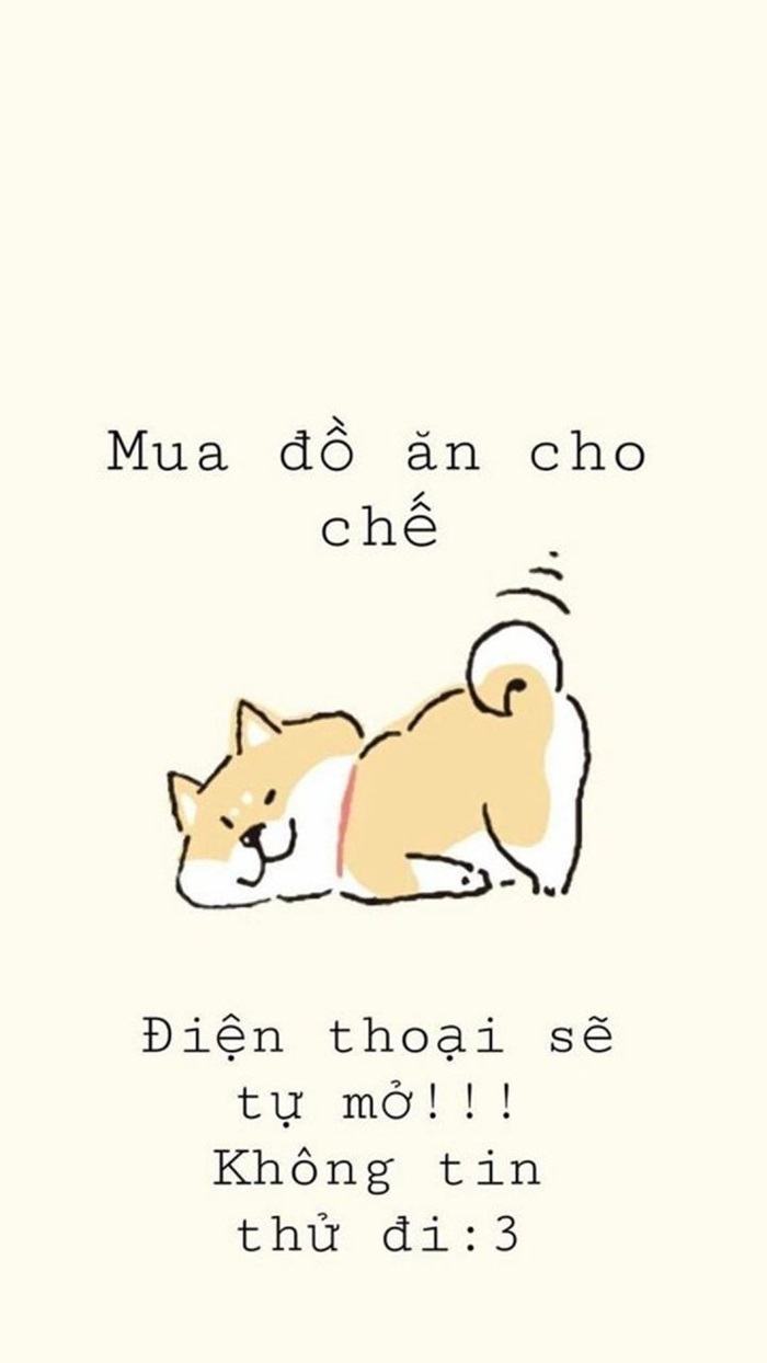 ảnh bỏ điện thoại tao xuống