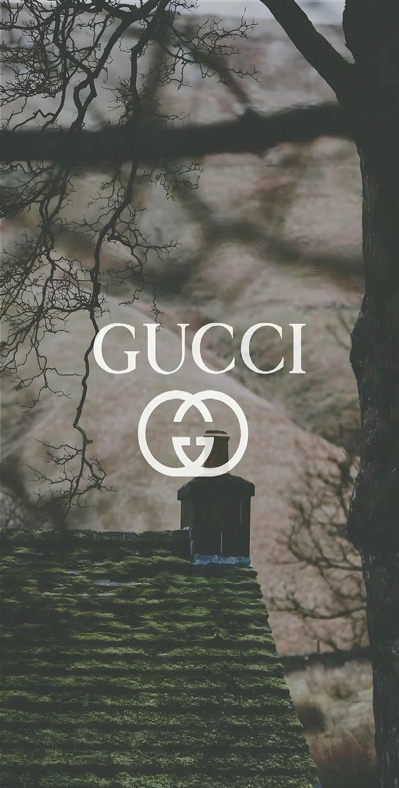 ảnh gucci đen