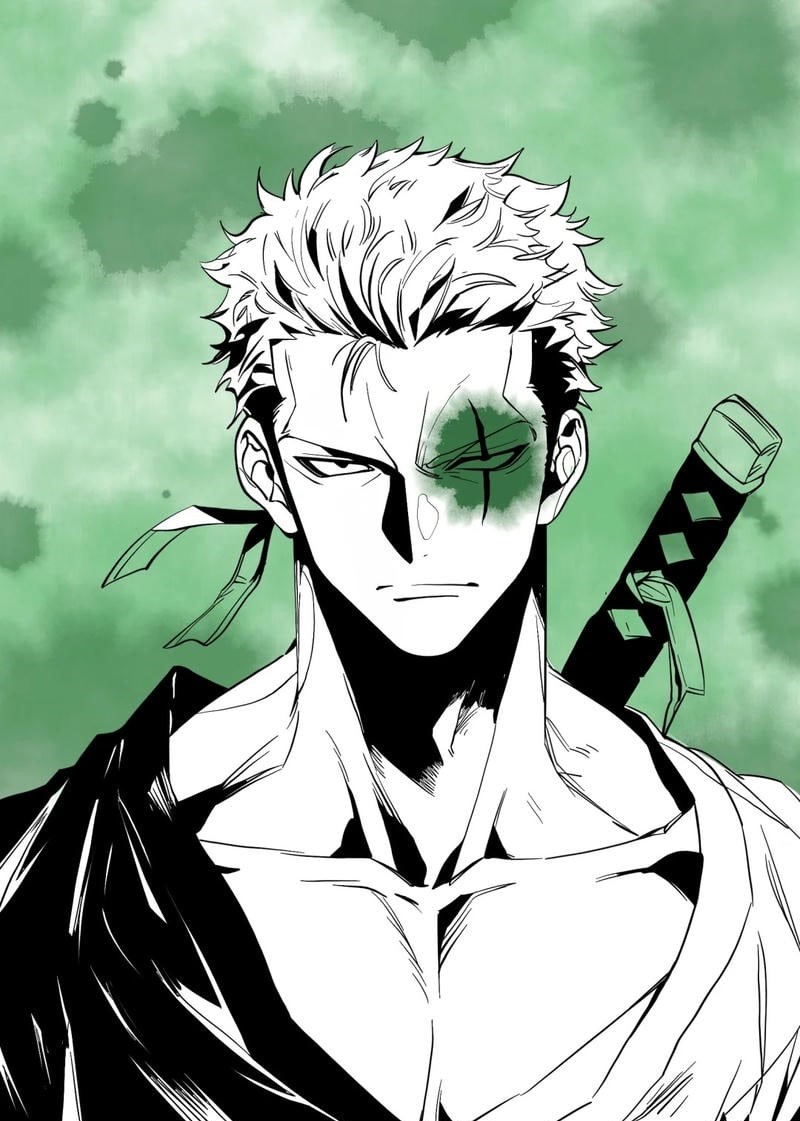 ảnh roronoa zoro