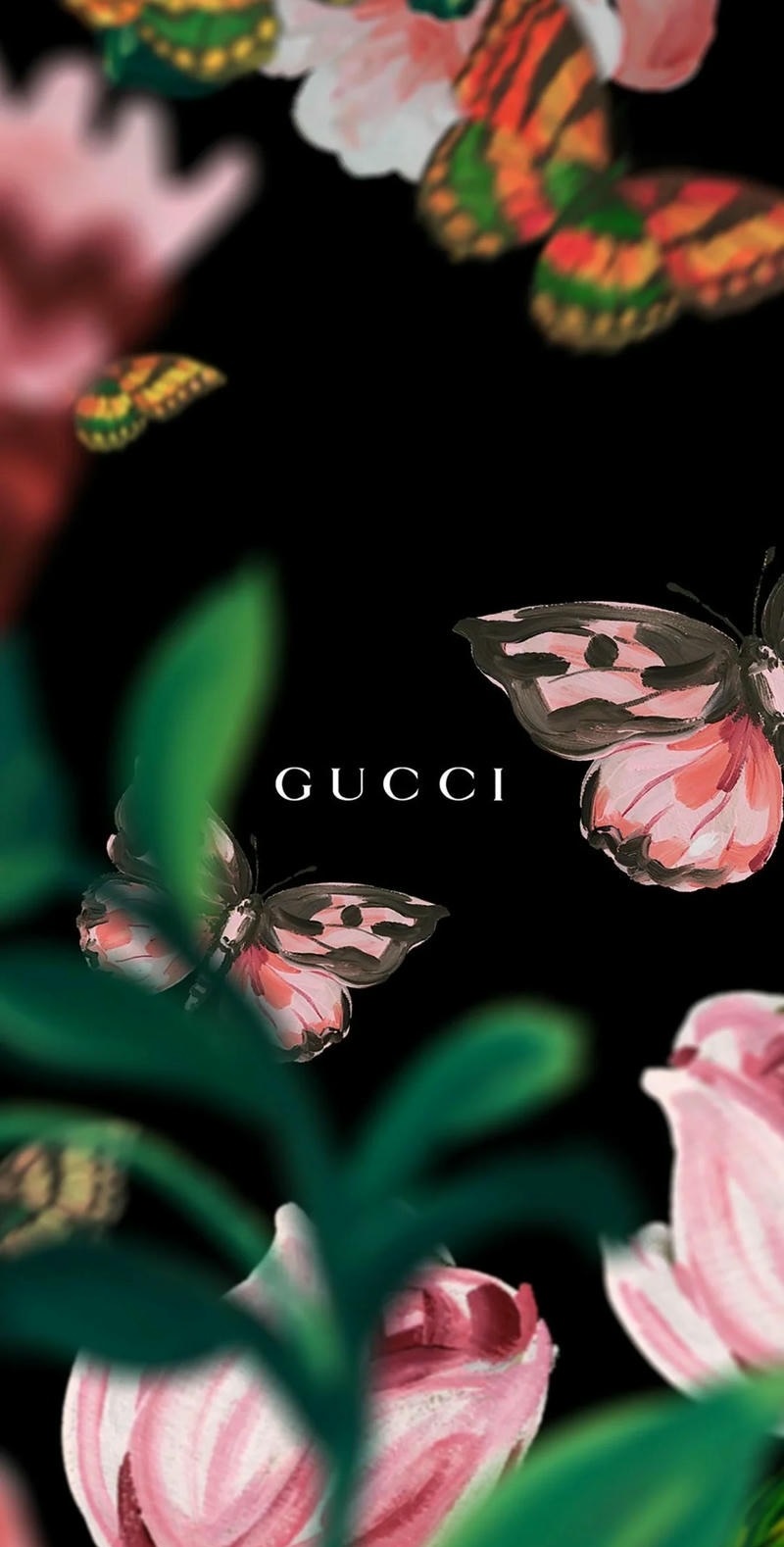 hình nền gucci trắng