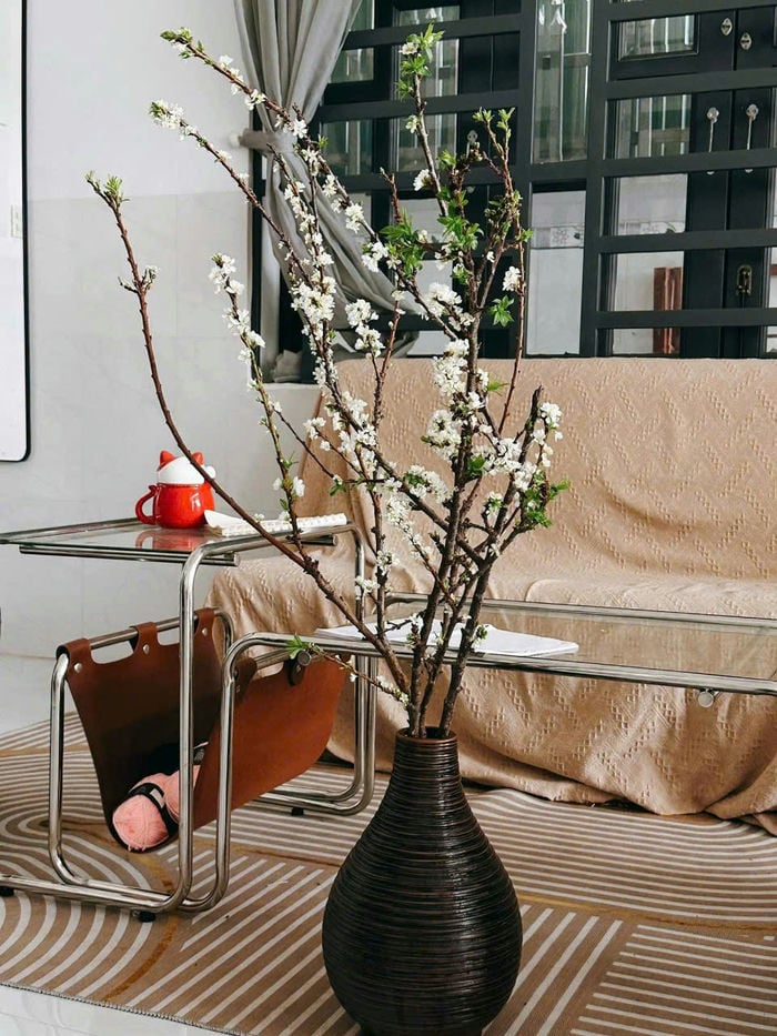 ảnh lọ cành tuyết mai