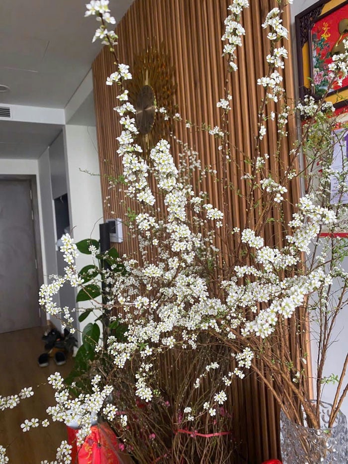 ảnh tuyết mai cho người thích