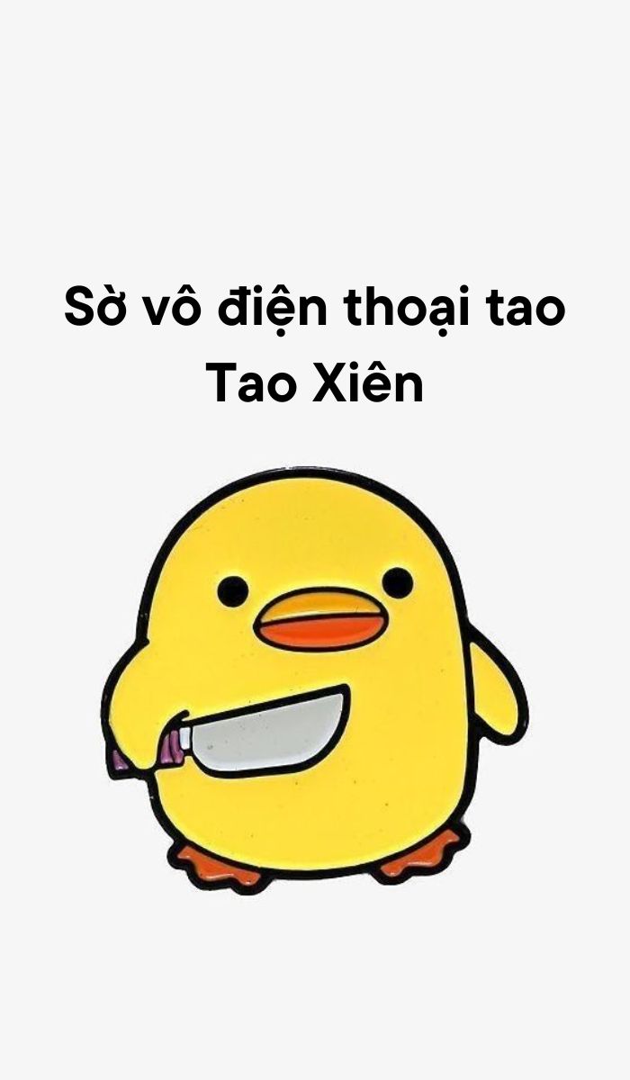 hài hước cute troll hình nền bá đạo