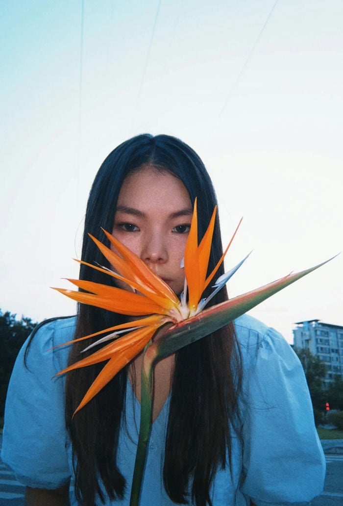 hình chụp với hoa thiên điểu