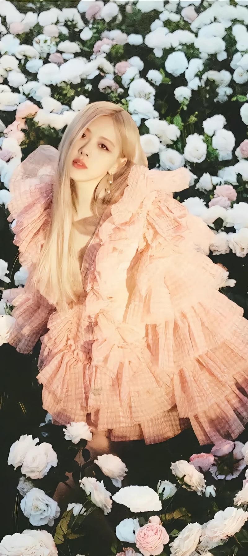 hình nền rosé blackpink