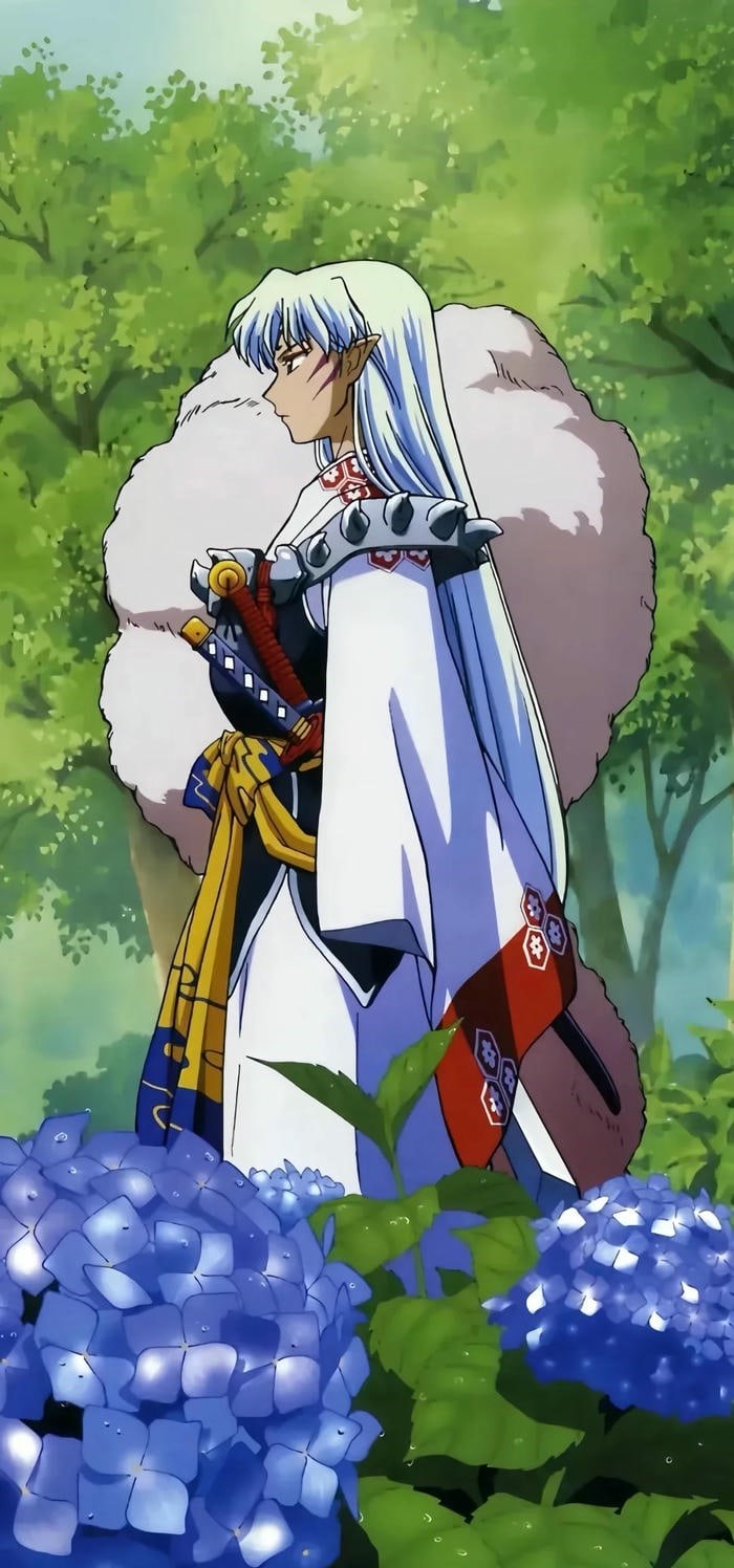 hình nền sesshomaru hoạt hình anime