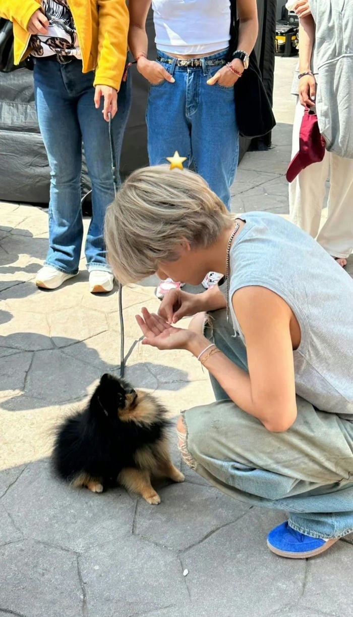 hình nền v và yeontan