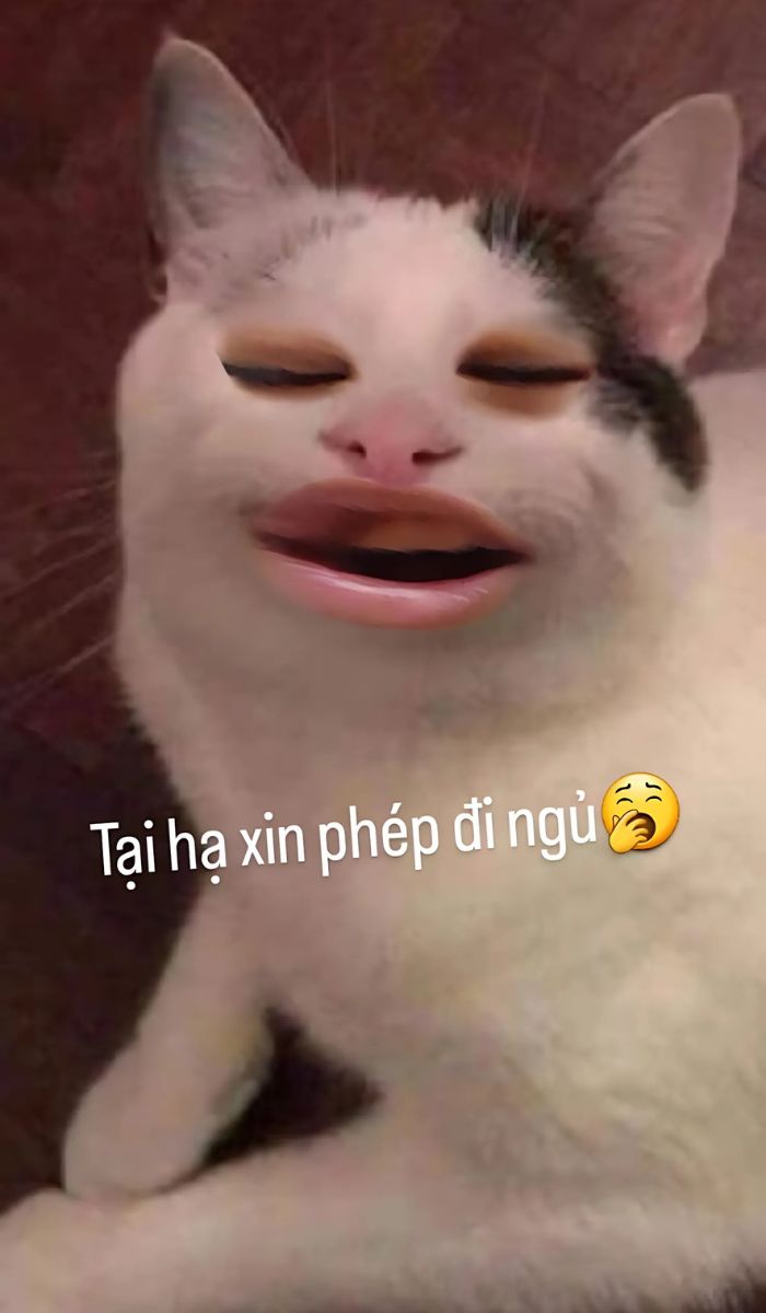 màn hình nền bá đạo