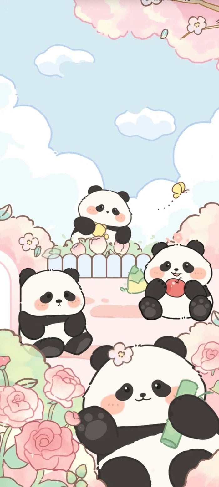 panda hình nền gấu trúc cute