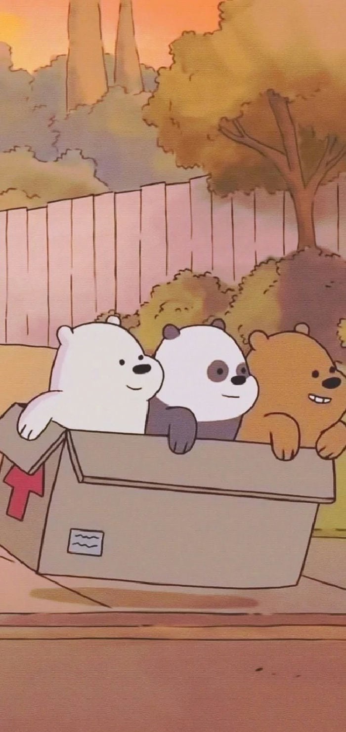 we bare bears hình nền 3 chú gấu đáng iu