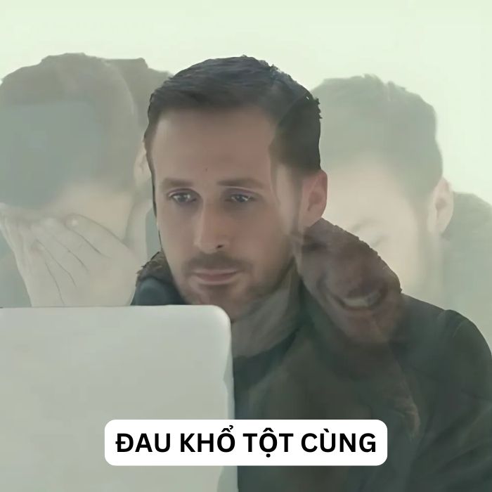 meme hết cứu cực ảo