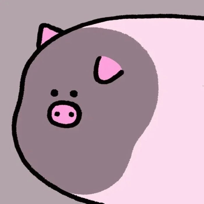 ảnh avatar con heo nái