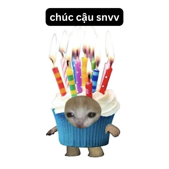 hình meme mèo chúc mừng sinh nhật