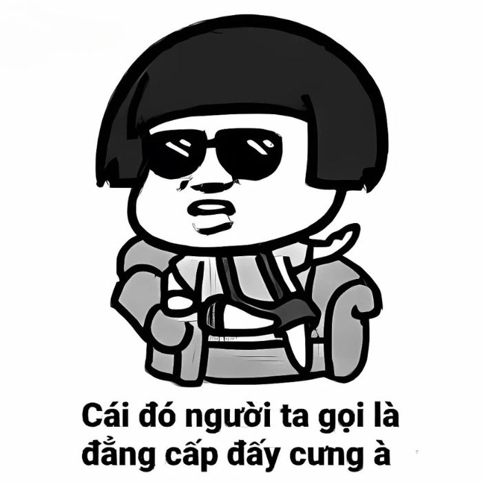 meme gấu trúc xênh